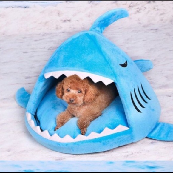 ISO.. - Picture 2 of 2